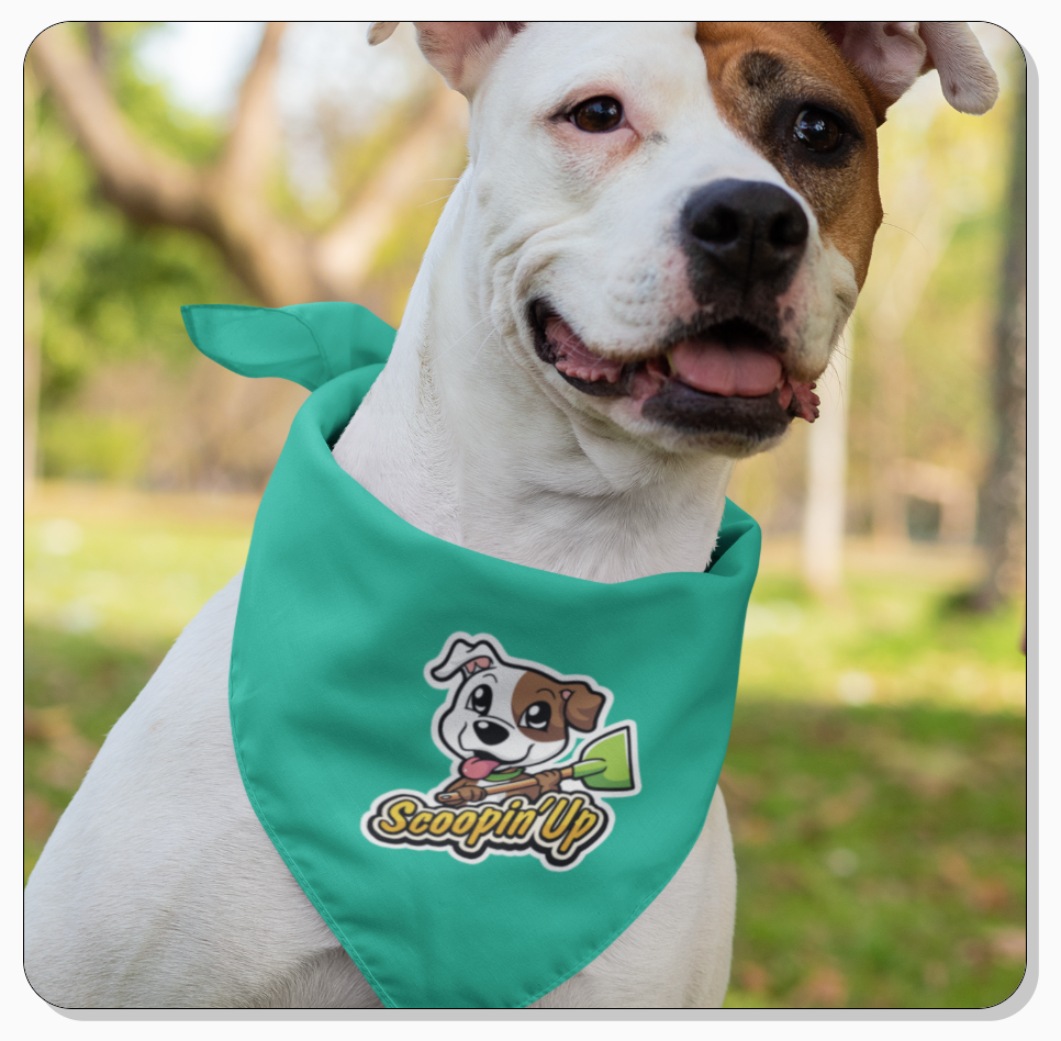 Scoopinup Serving Raleigh Area of NC | Raleigh NC ( pic: Scoopinup.com ) 