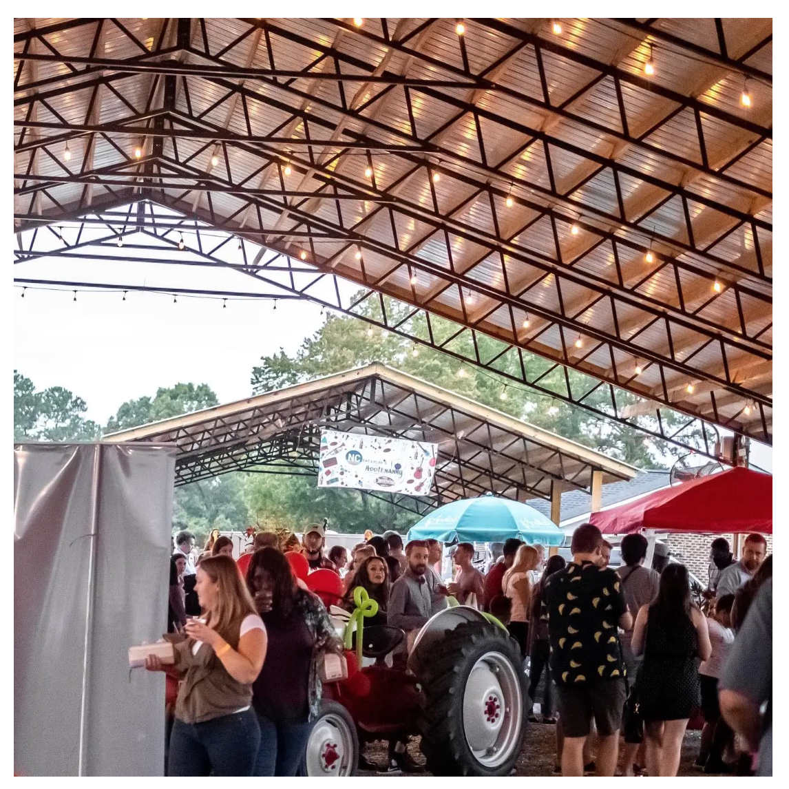 Crowd at Spring Hootenanny & Foodie Festival | Cary, NC (pic: nceatandplay.com)